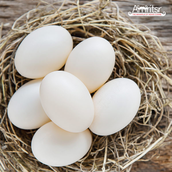 White eggs on a nest